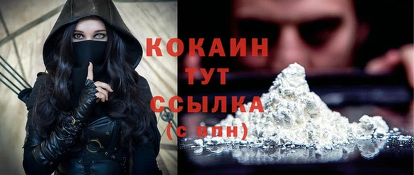 скорость Каменка