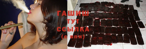 скорость Каменка