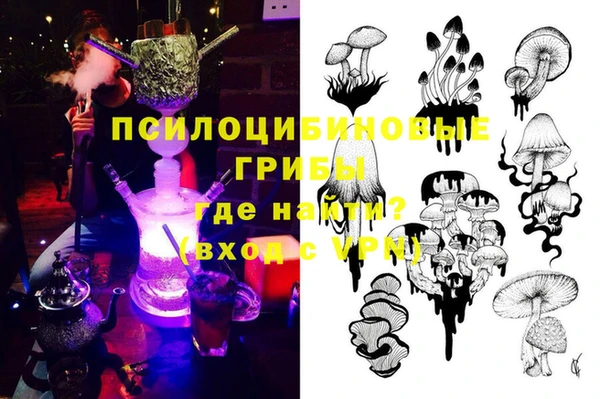 соль ск Каменногорск