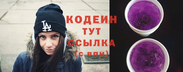 скорость Каменка