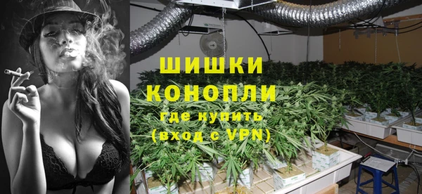 скорость Каменка