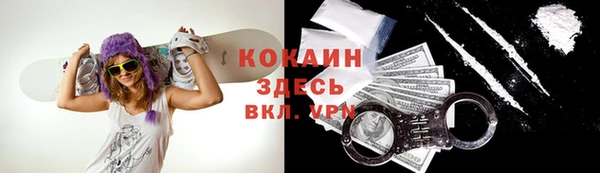 скорость Каменка