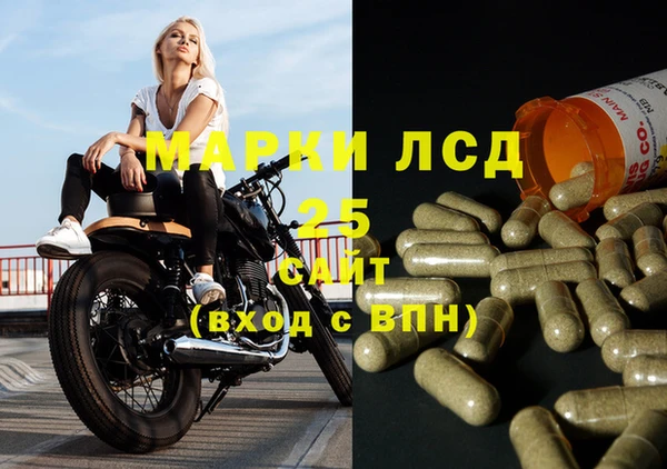 соль ск Каменногорск