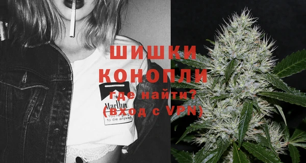скорость Каменка