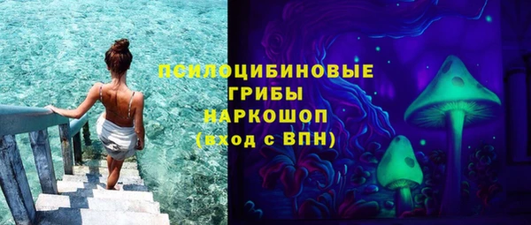 соль ск Каменногорск