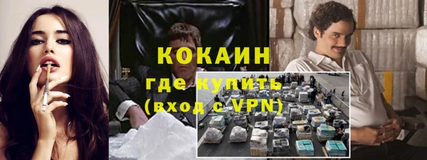 соль ск Каменногорск