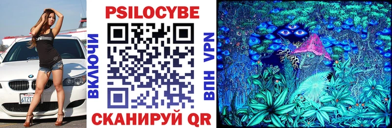 Псилоцибиновые грибы Psilocybe Сасово